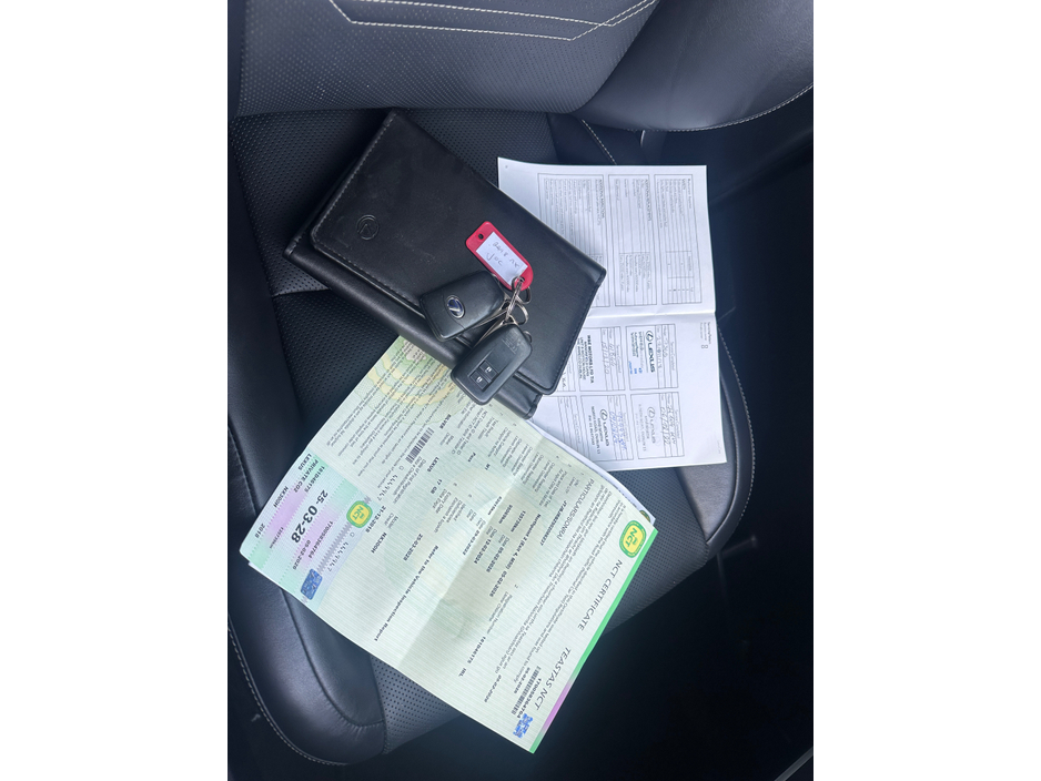 2018 Lexus NX 300 h - image 14