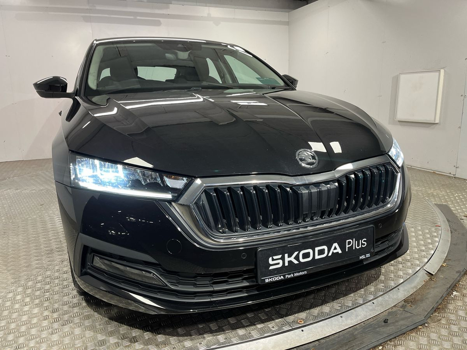 2023 Skoda Octavia - image 19