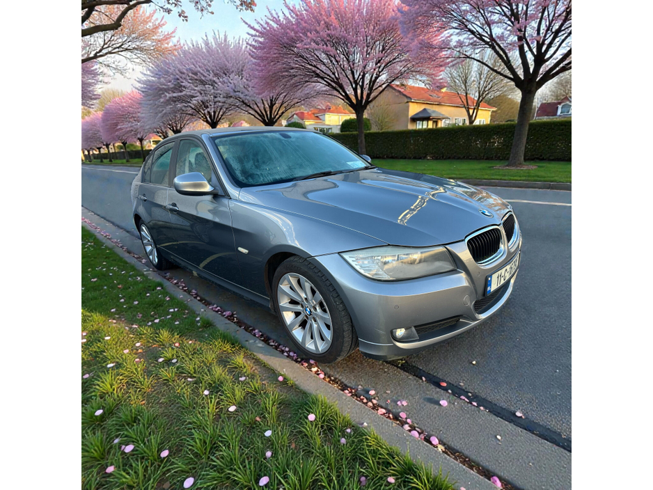 2011 BMW 3 Series 318D SE €5,888