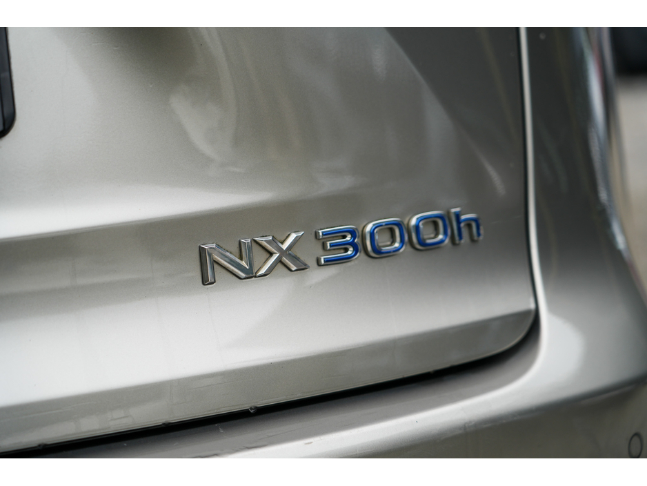 2018 Lexus NX 300 h - image 6