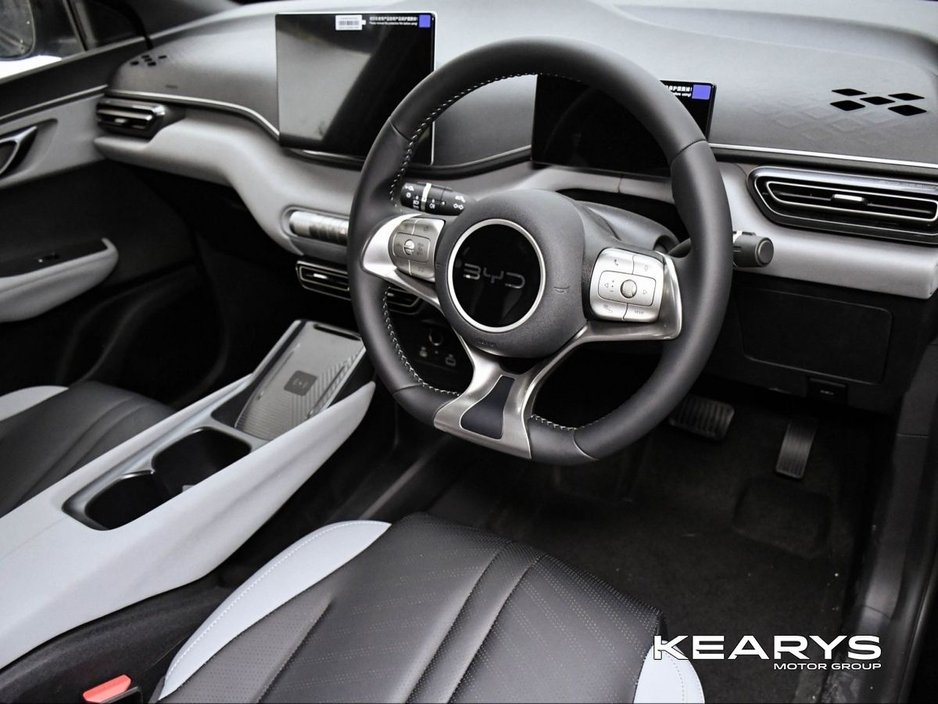 2026 BYD Dolphin Surf - image 11