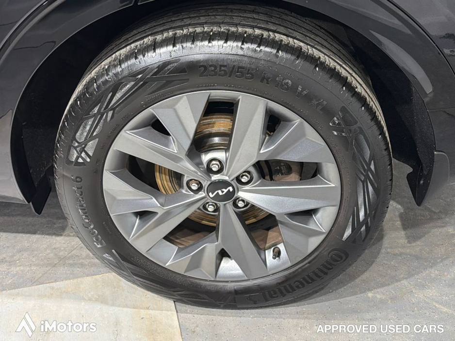 2024 Kia Sportage - image 11