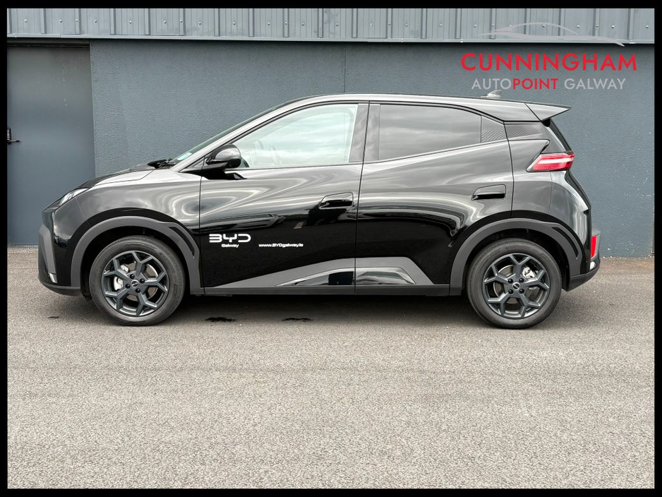 2025 BYD Dolphin Surf - image 4