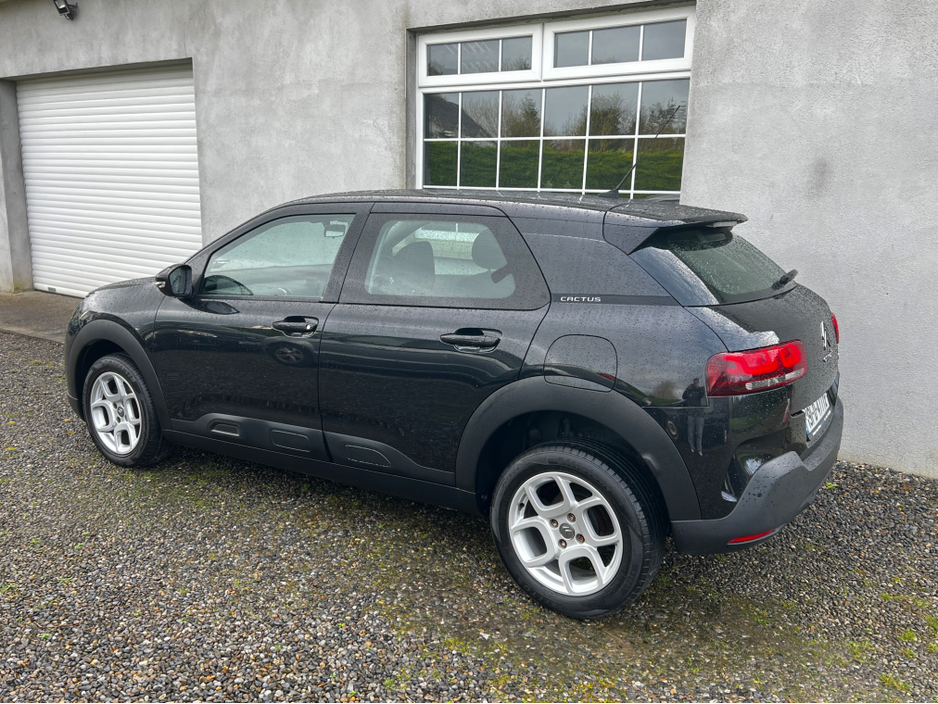 2019 Citroen C4 Cactus - image 12