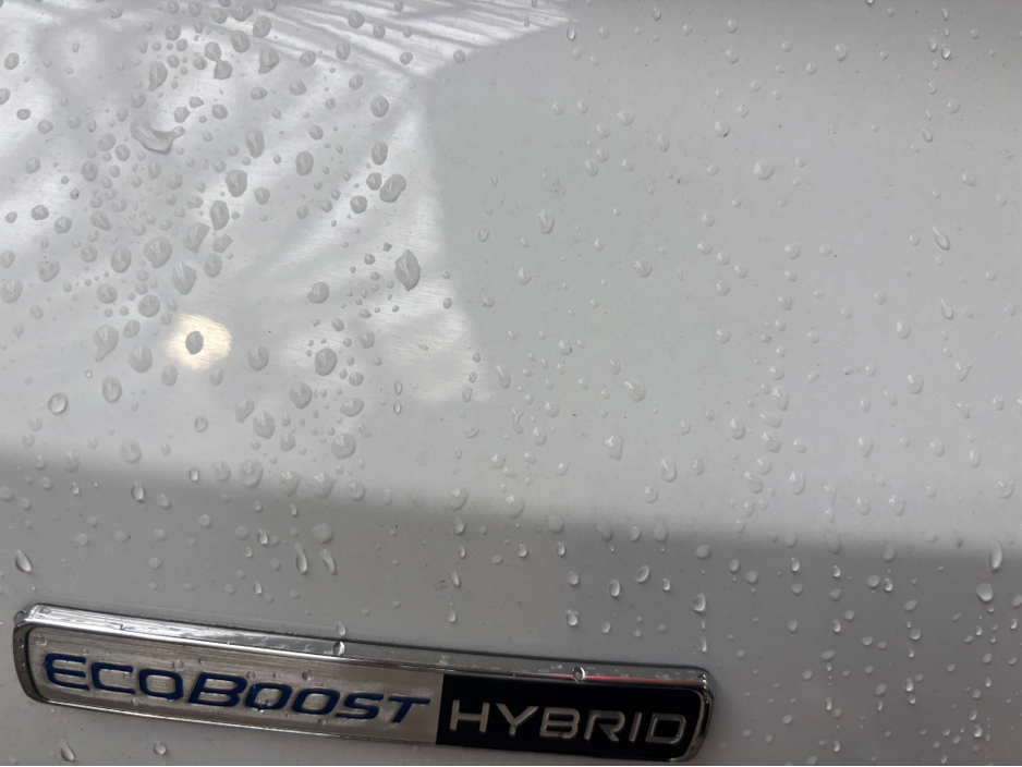 2023 Ford Puma - image 7