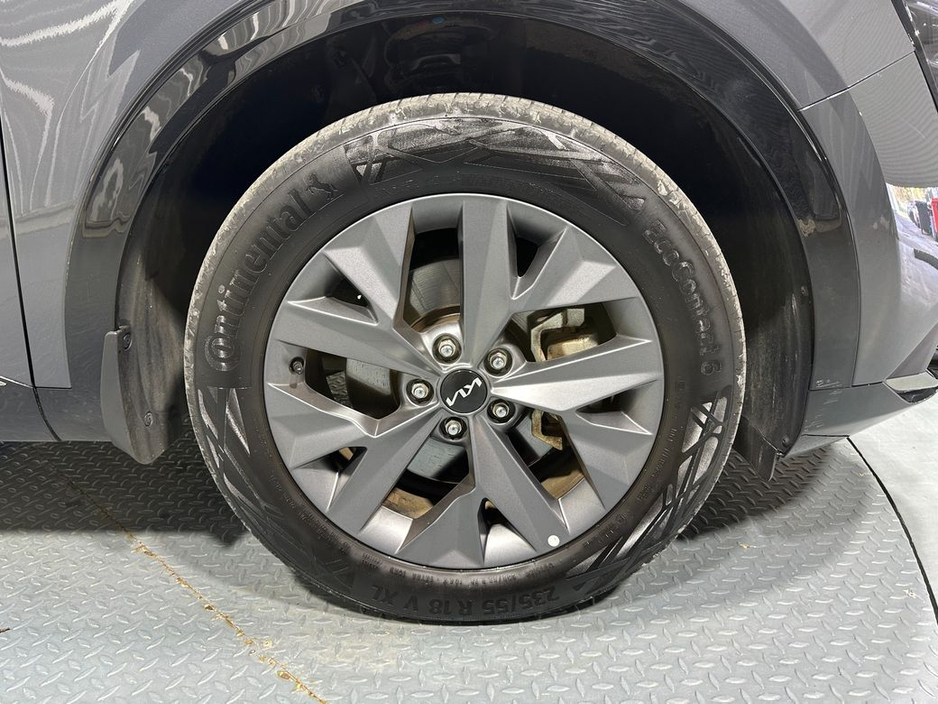 2024 Kia Sportage - image 25