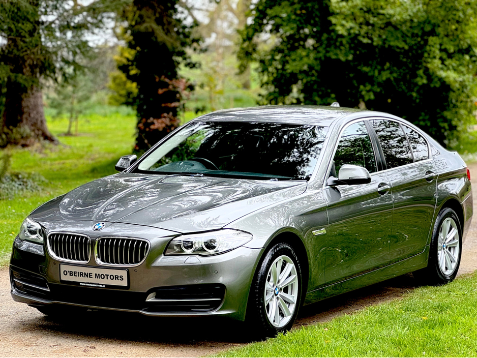 2015 BMW 5 Series - image 29