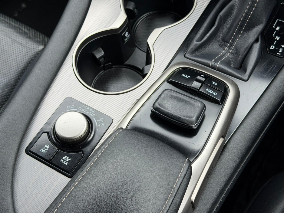 2016 Lexus RX 450 h - image 33