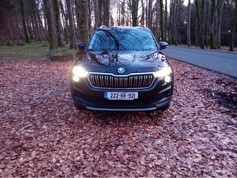 2022 Skoda Kodiaq - image 2