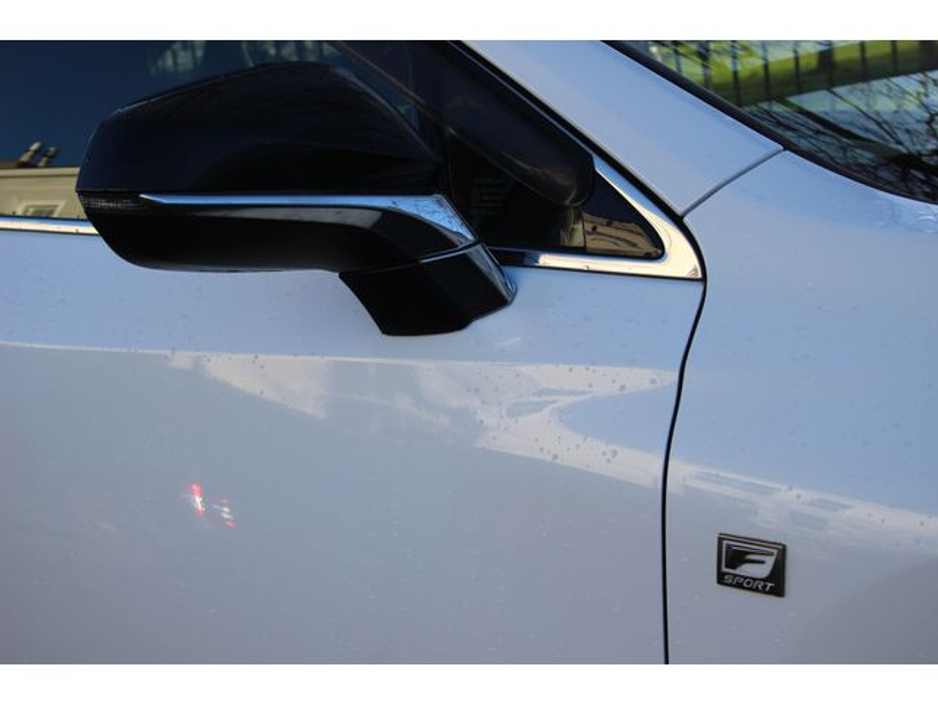 2016 Lexus NX 300 h - image 5