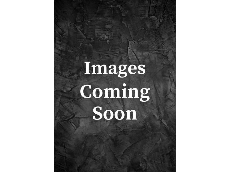 2024 MG ZS EV LR Exclusive €23,495