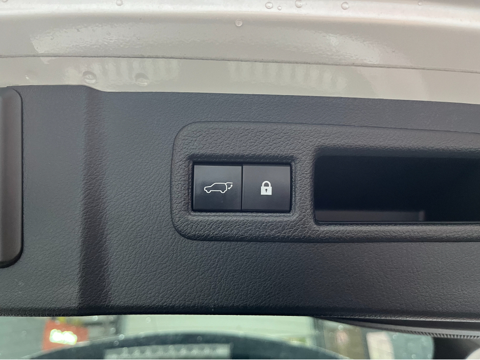 2019 Lexus NX 300 h - image 7