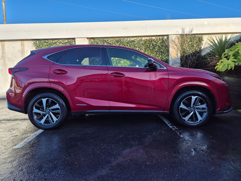 2020 Lexus NX 300 h - image 12