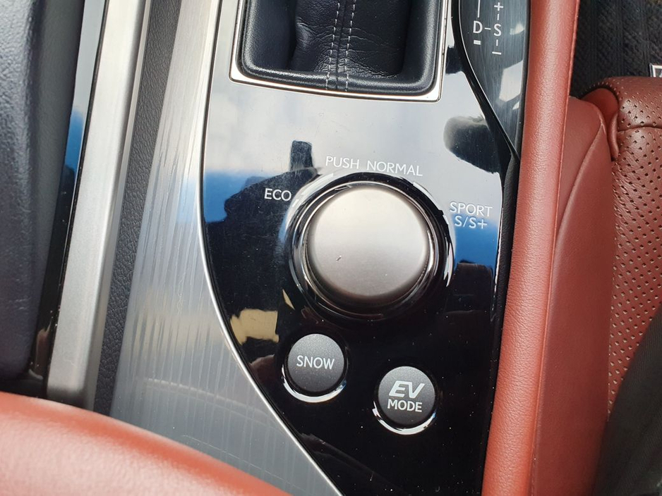 2014 Lexus GS 300 H - image 20