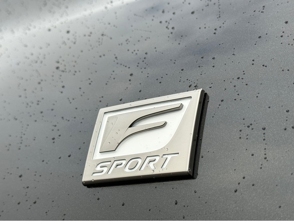 2024 Lexus ES 300 H F SPORT ES 300H 4DR AUTO €48,950