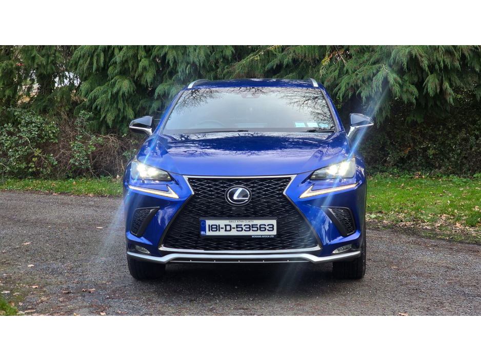 2018 Lexus NX 300 h - image 12