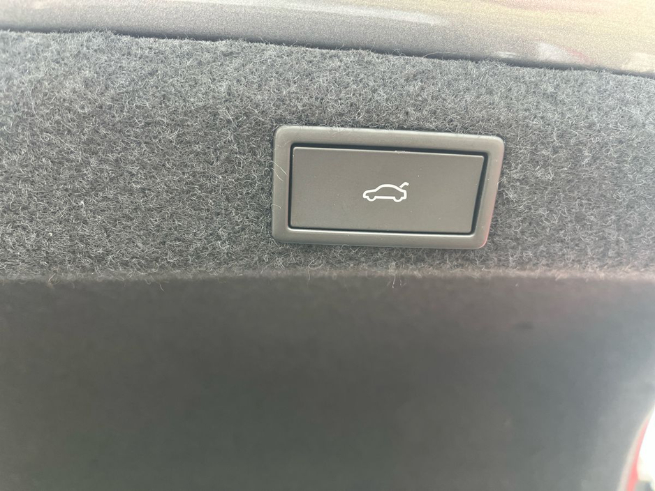 2026 Skoda Octavia - image 15