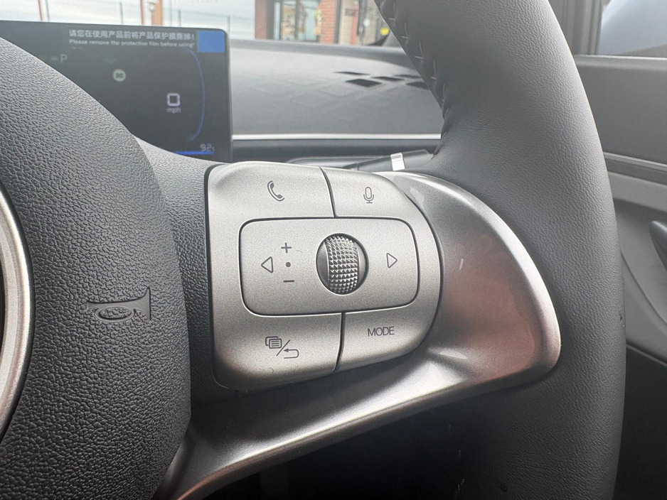 2025 BYD Dolphin Surf - image 12