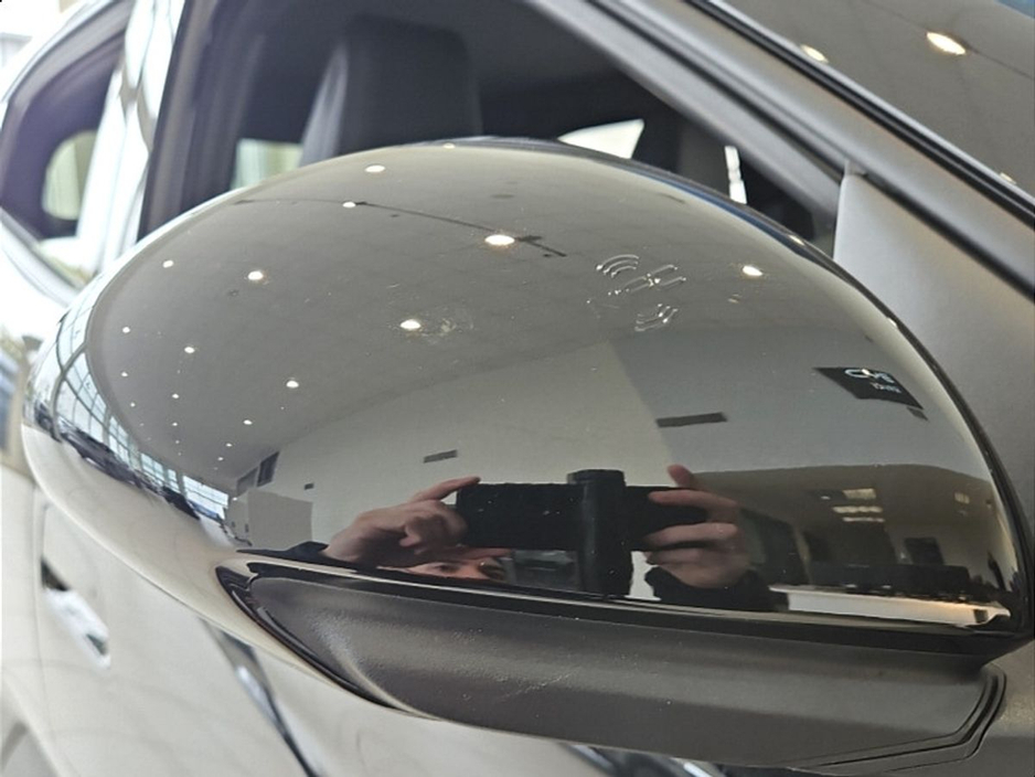 2026 BYD Dolphin Surf - image 11