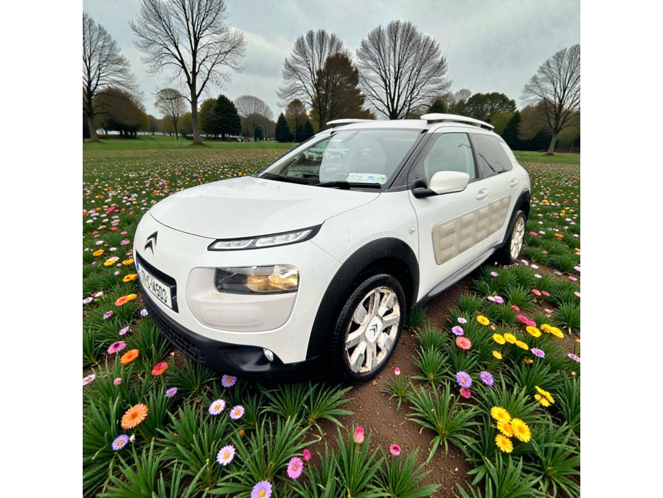 2017 Citroen C4 Cactus 1.2 PureTech 75 Touch €9,888