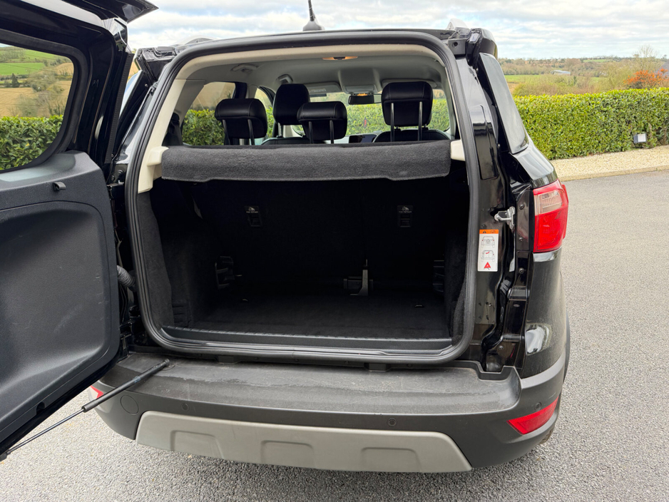 2019 Ford Ecosport - image 15