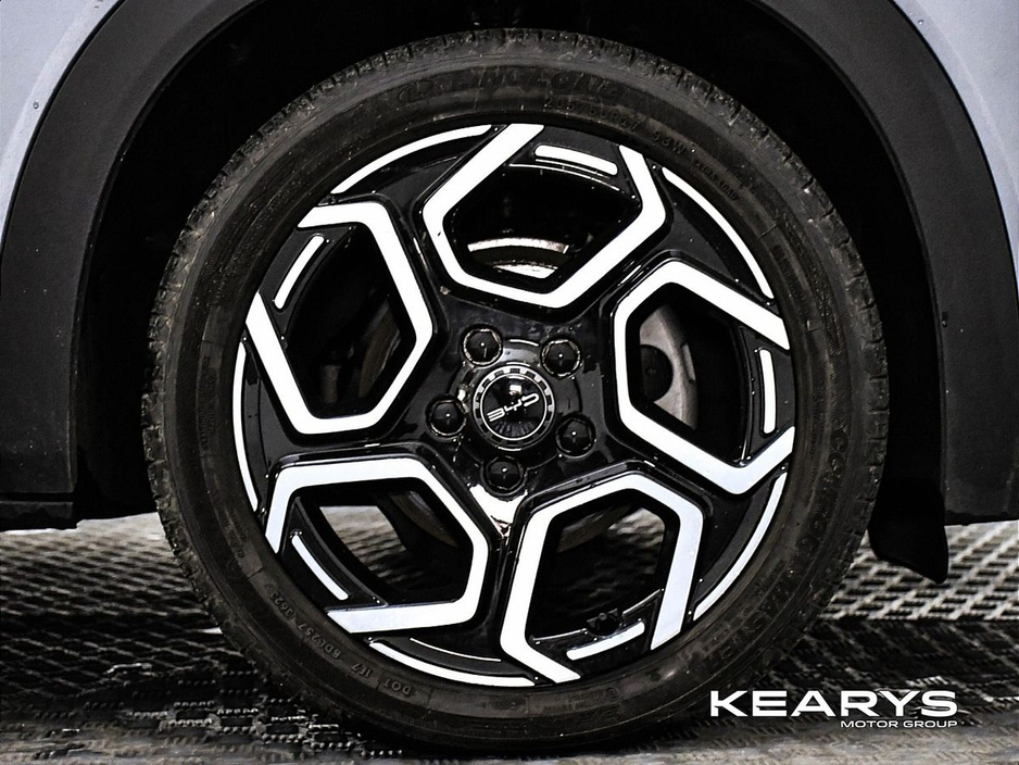 2024 BYD Dolphin - image 12