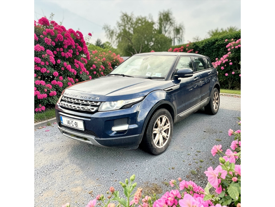 2014 Land Rover Range Rover Evoque - image 3