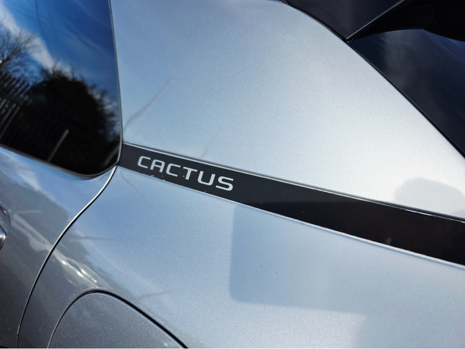 2019 Citroen C4 Cactus FEEL PURETECH 110 S& S&S 4DR €13,950