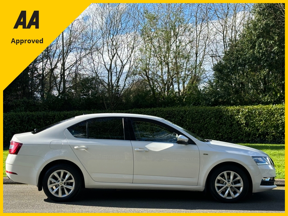 2019 Skoda Octavia - image 6