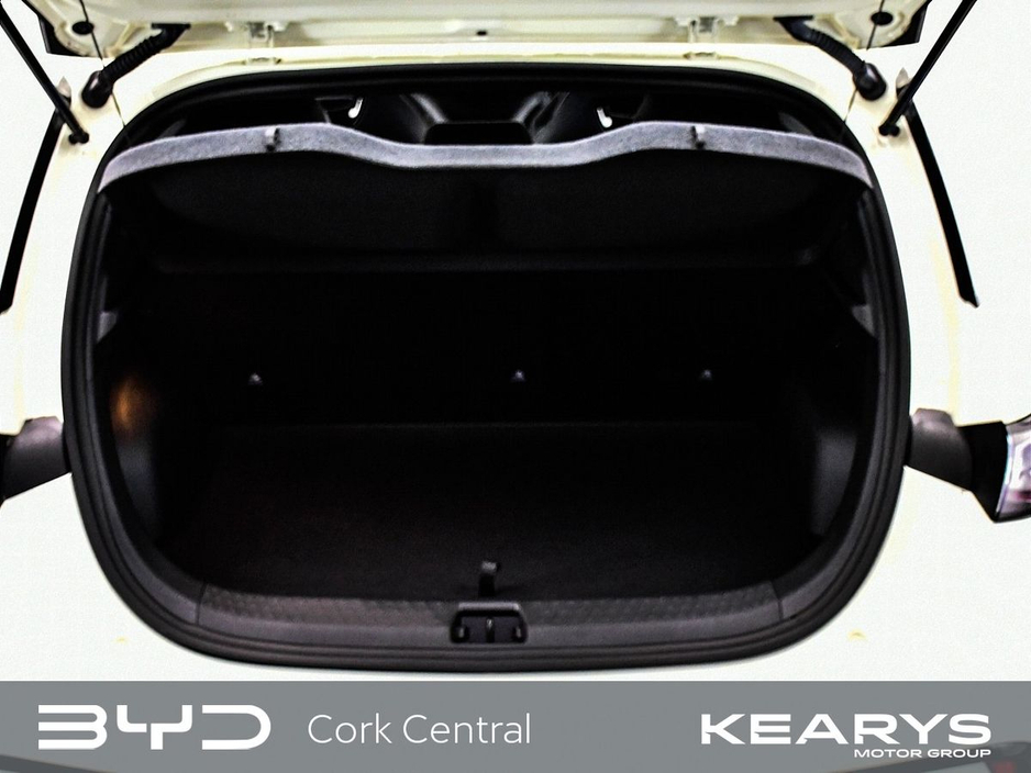 2026 BYD Dolphin - image 7