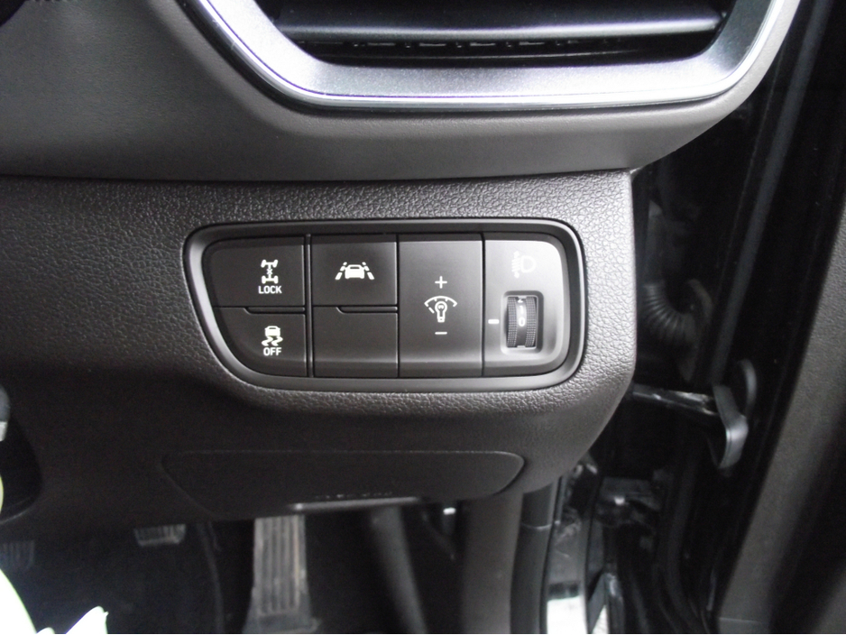 2019 Hyundai Santa Fe 2.2CRDI 4WD EXECUTIVE PLUS 5DR €23,500