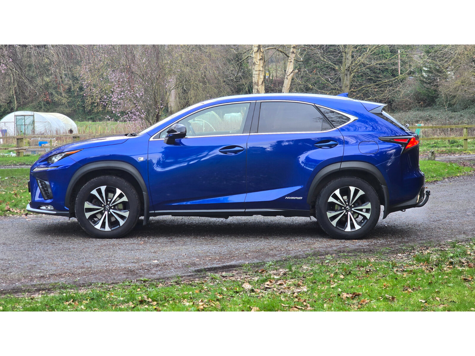 2018 Lexus NX 300 h - image 9