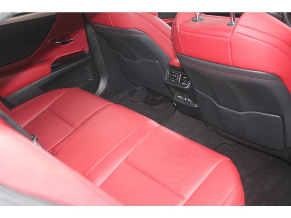 2019 Lexus ES 300 H - image 20