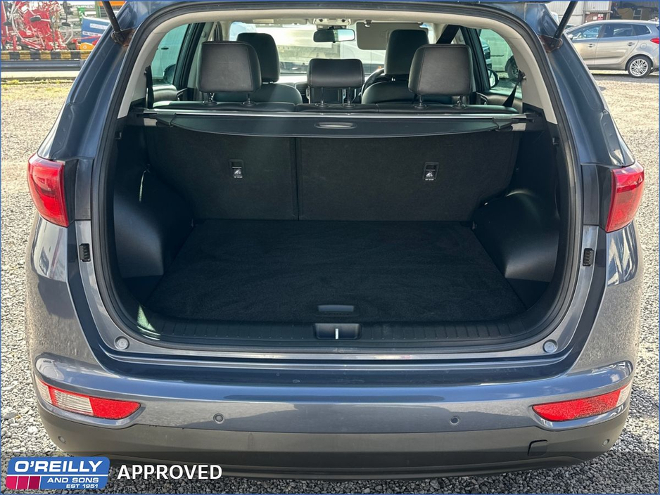 2016 Kia Sportage - image 6