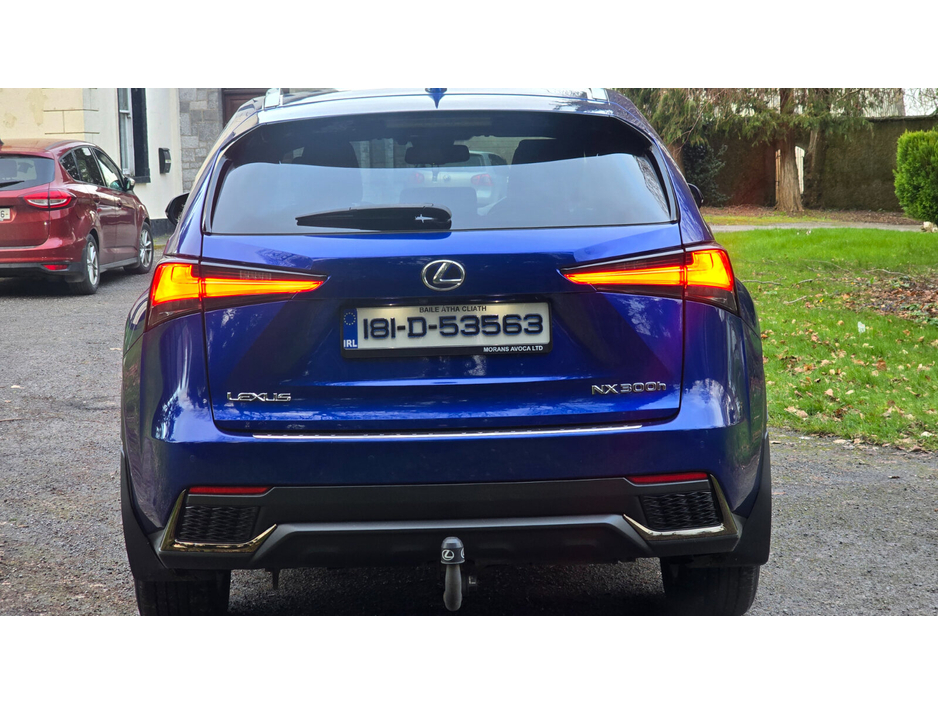 2018 Lexus NX 300 h - image 7