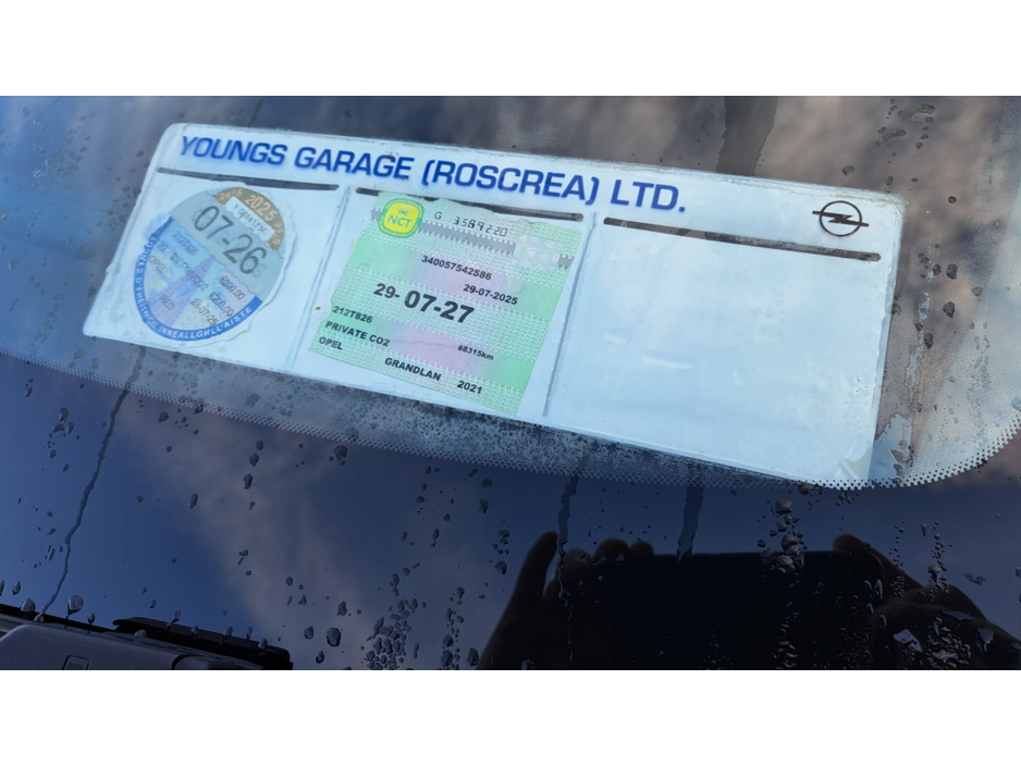 2021 Opel Grandland X - image 8