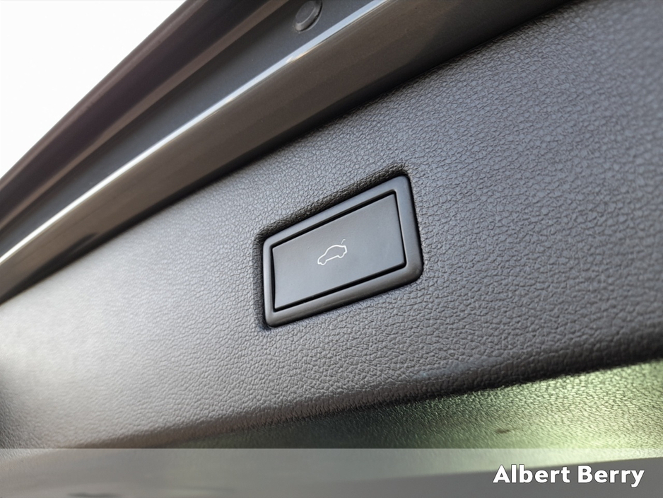 2024 Volkswagen Tiguan - image 14