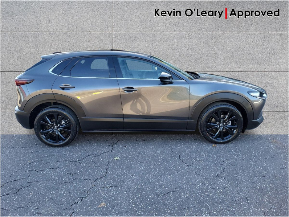 2026 Mazda CX-30 SKY X Homura 186 S/R €43,435