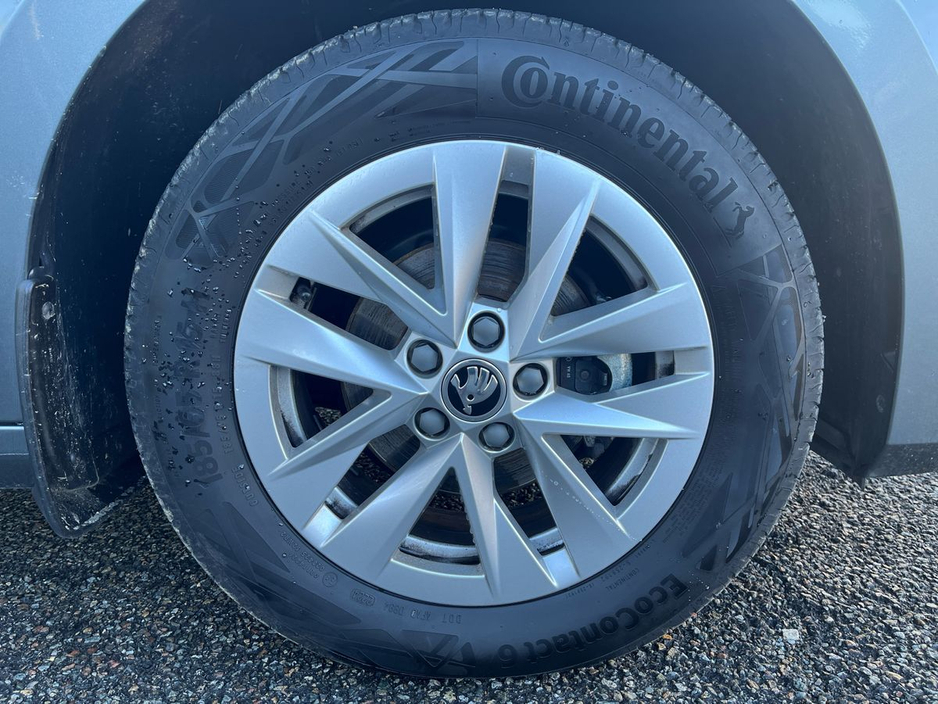 2025 Skoda Fabia - image 5