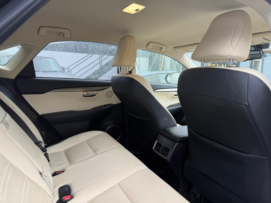 2020 Lexus NX 300 h - image 18