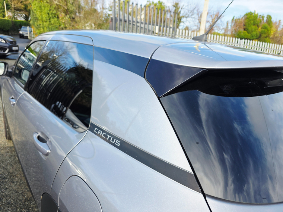 2019 Citroen C4 Cactus FEEL PURETECH 110 S& S&S 4DR €13,950