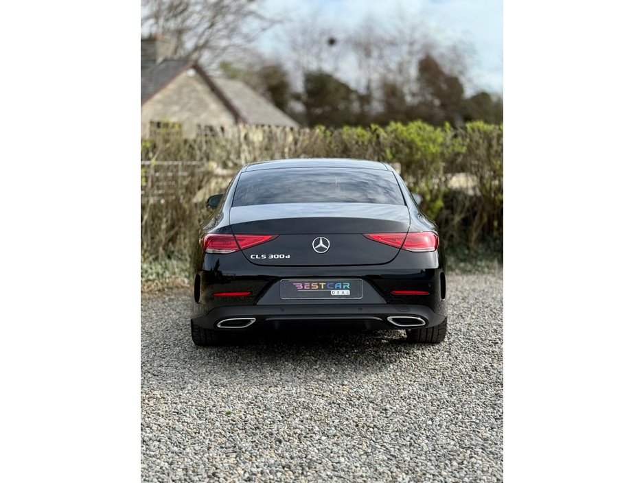 2019 Mercedes-Benz CLS Class - image 11