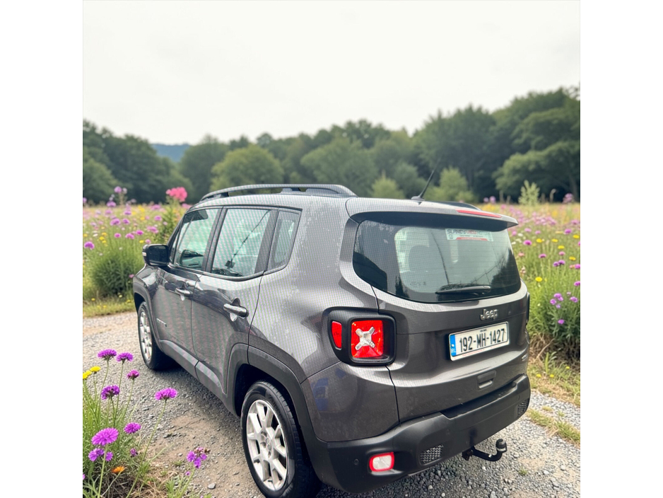 2019 Jeep Renegade - image 6
