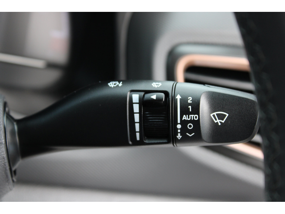 2017 Hyundai Ioniq - image 25