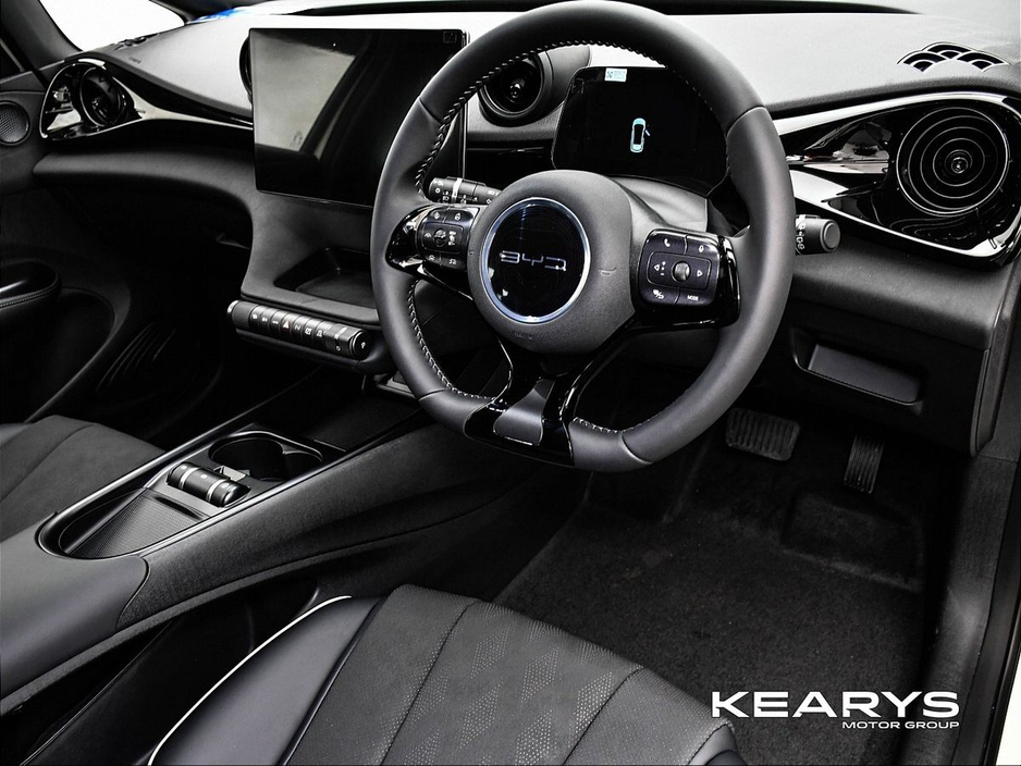 2026 BYD Dolphin - image 10