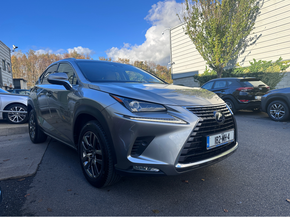 2018 Lexus NX 300 h - image 2