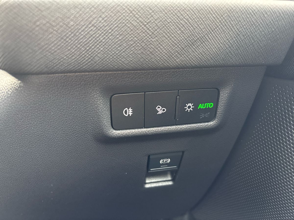 2024 Skoda Kodiaq - image 15