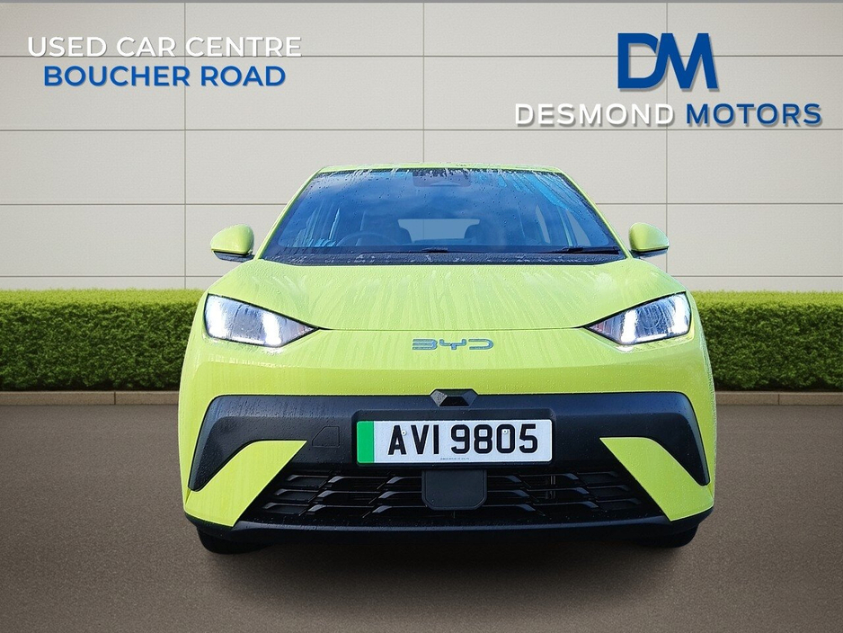 2025 BYD Dolphin - image 6