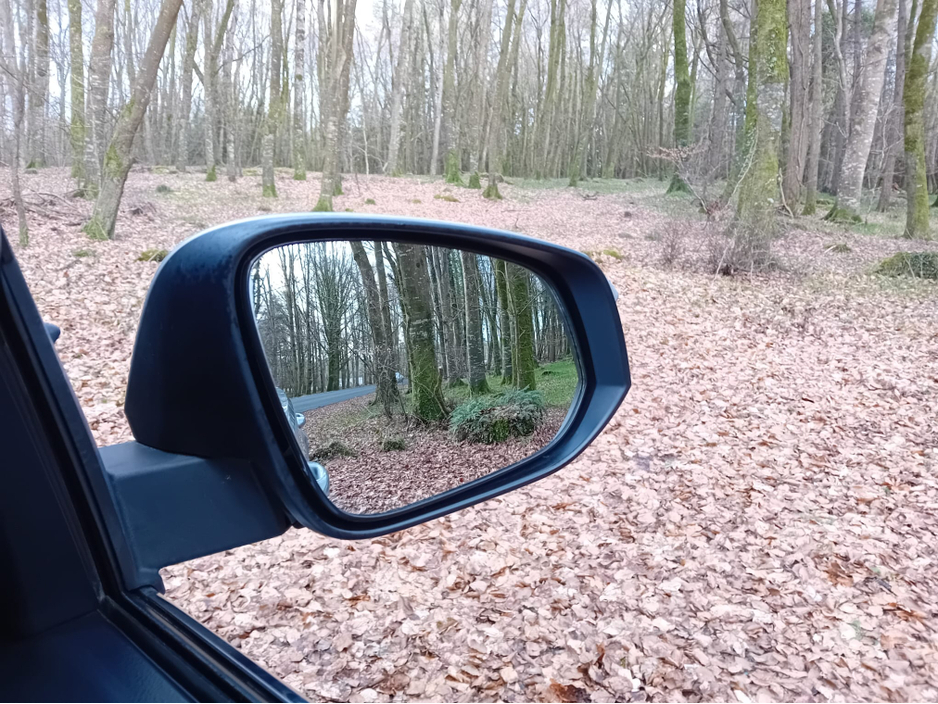 2017 Toyota Rav4 - image 28