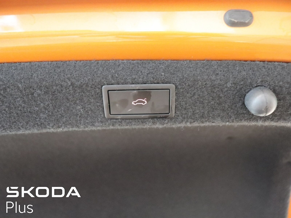 2024 Skoda Octavia - image 25